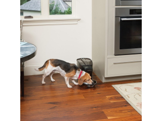 Krmítko, Healthy Pet Simply Feed™