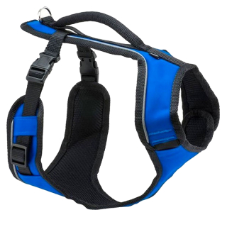 Postroj EasySport™-blue-L
