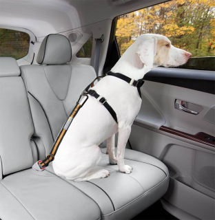 Bezpečnostný autopás pre psa s upínacím mechanizmom Kurgo Direct to Seatbelt Tether